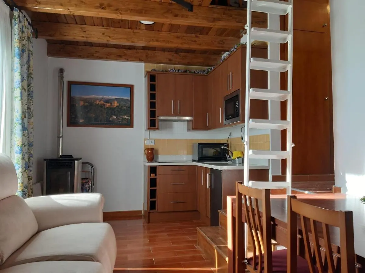 Apartment Apartamentos Domus Sierra Nevada